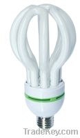 saving energy lighting /CFL