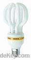 saving energy lighting /CFL