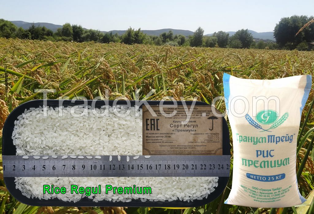 Rapan Premium (round-grain rice, similar to Egyptian Camolino-5)