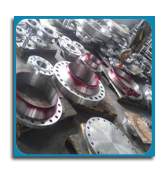 Flanges &amp; Forgings