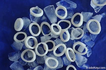 frozen squid ring