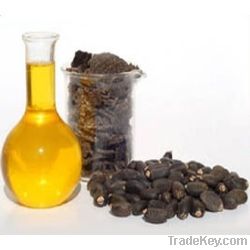 Crude Jatropha Oil