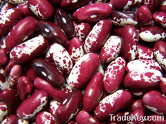 -- Kidney beans --