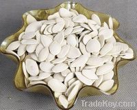 pumpkin seeds