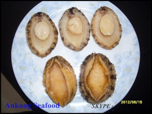 frozen boiled abalone meat