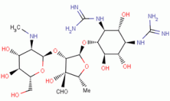 streptomycin