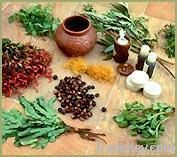 HERBAL EXTRACTS FOR MEDICINES & COSMETICS