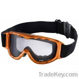 Ski Goggles