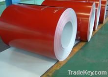 sell colour coated steel coil