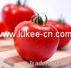 Lycopene-Tomato Extract