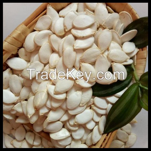 2017 Chinese Snow White Pumpkin Seeds , 11cm 13cm