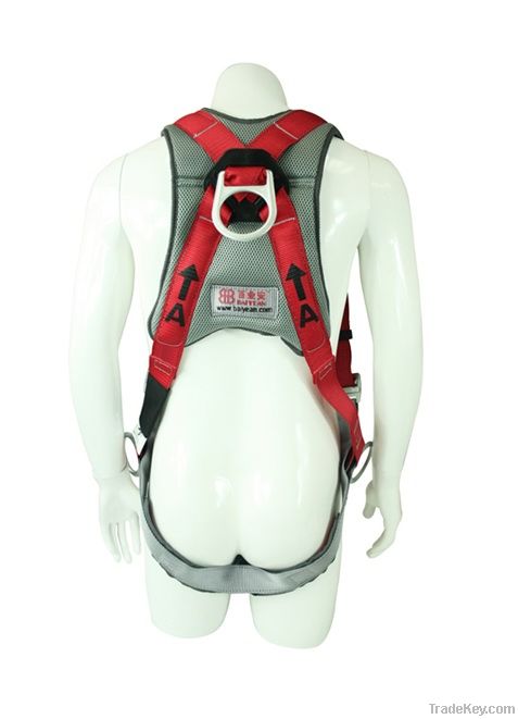 Full Body Harness with shock Absorbing Lanyards