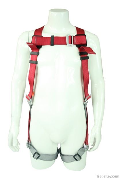 Full Body Relaxing Harness with Shock Absorbing Lanyards