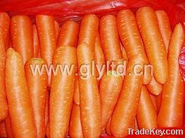 carrot