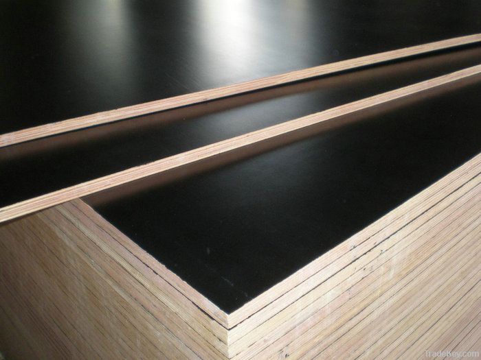 Black film faced plywood /construction board/shuttering plywood