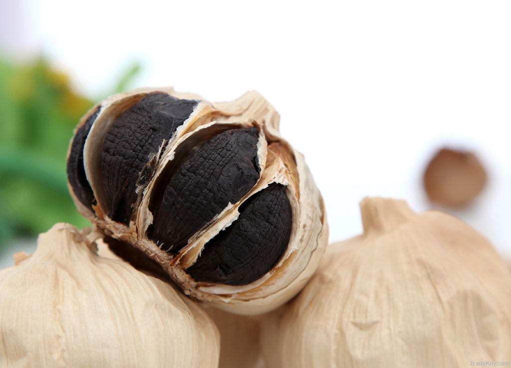 Organic aged black garlic made by fresh white garlic