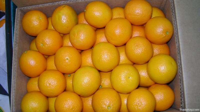 Valencia Orange