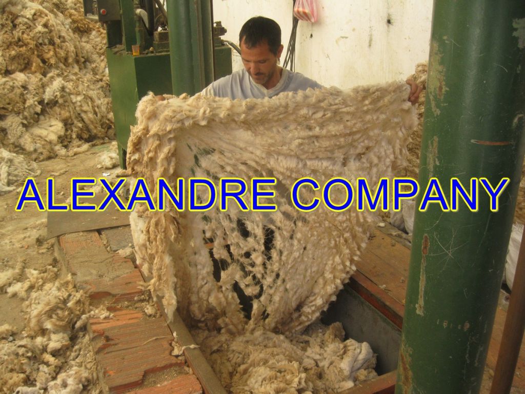 TUNISIAN MERINO WOOL