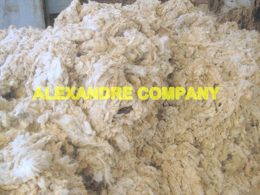 RAW TANNERY WHITE WOOL