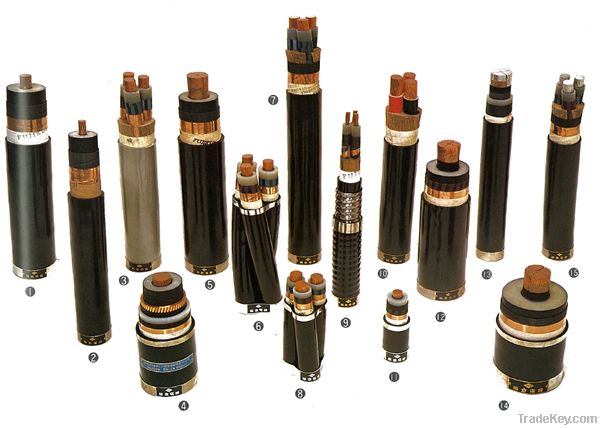 PVC insulated Sheathed Power cable