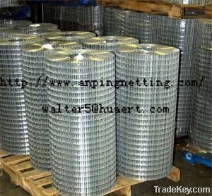 Hot dipped galvanizing welded wire mesh