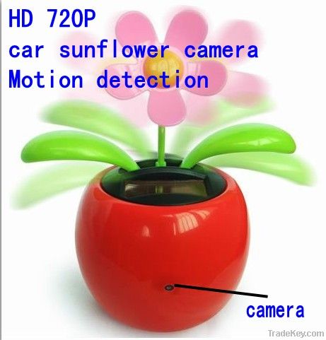 sun flower camera