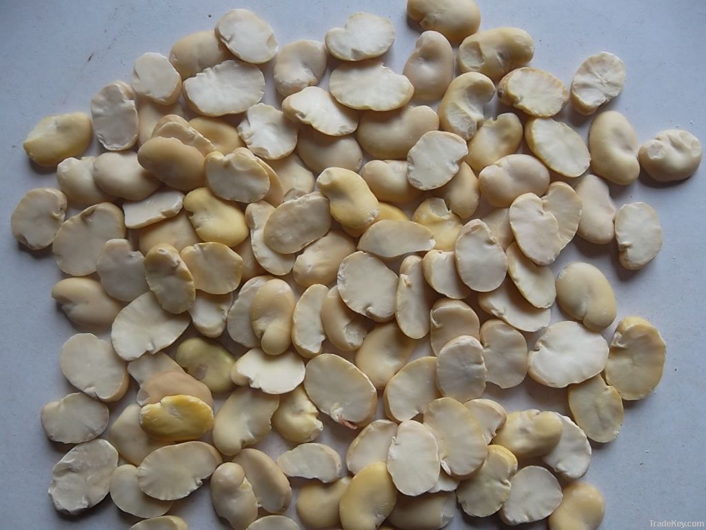peeled broad bean(Half of the)