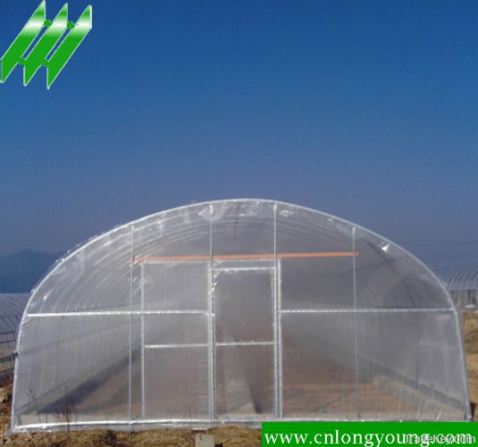 Agricultural Single Span Vegetable Greenhouse