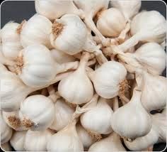 FRESH VIET NAM GARLIC