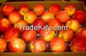 ROYAL GALA APPLES