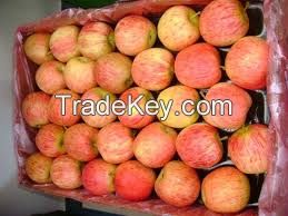 GALA APPLES