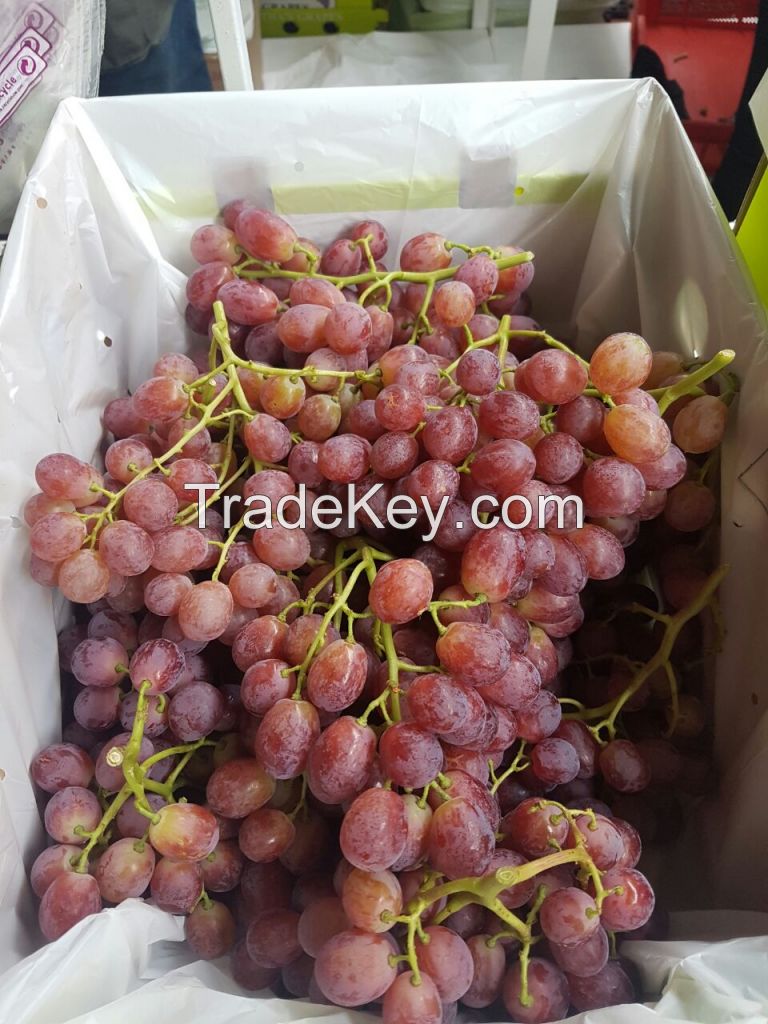 CRIMSON SEEDLESS GRAPES