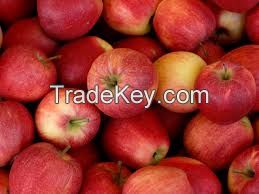 ROYAL GALA APPLES