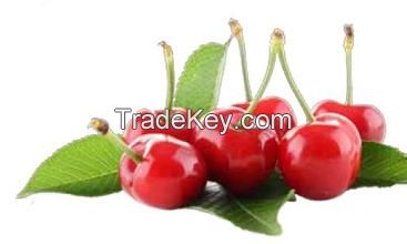 Acerola Cherry extract Vitamin C 17%,25%