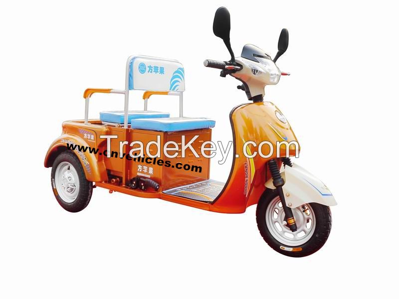 adult electric tricycle
