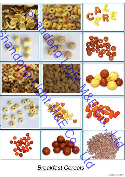 Corn Flakes and Breakfast Cereals Machinery Supplier