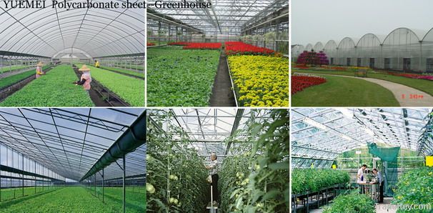 Greenhouse-Polycarbonate sheet