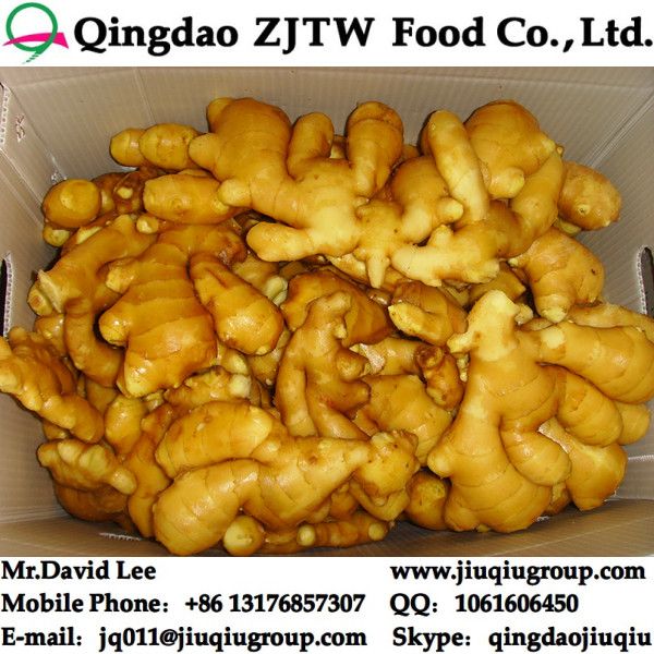 250G Ginger For Sale, Export To Canada And USA Market