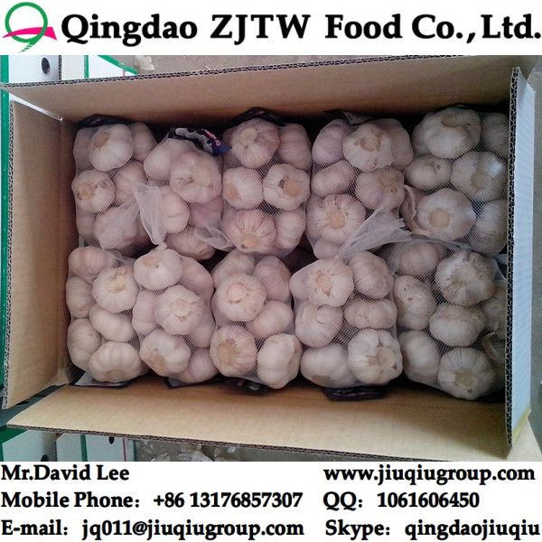 Fresh Garlic Supplier ; China Garlic Factory