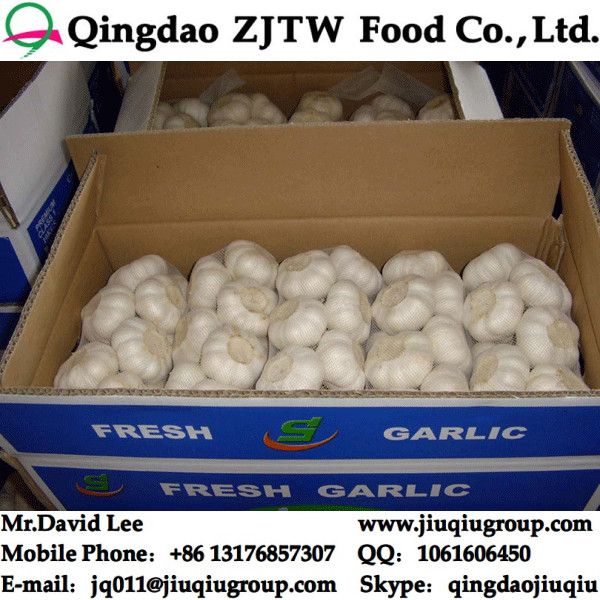 Fresh Garlic Supplier ; China Garlic Factory