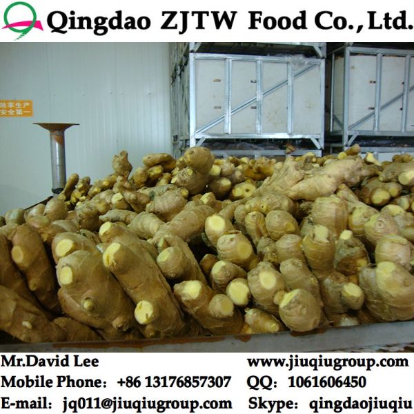 Air Dried Ginger Price From China