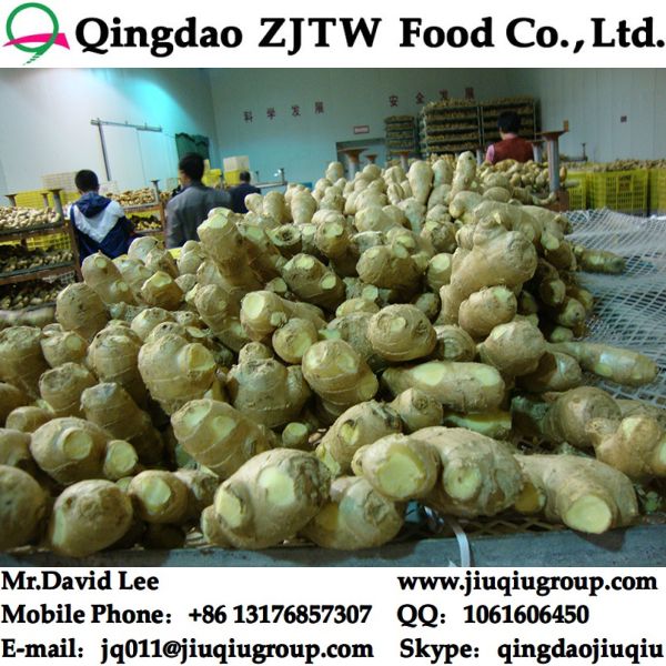 Air Dried Ginger Price From China