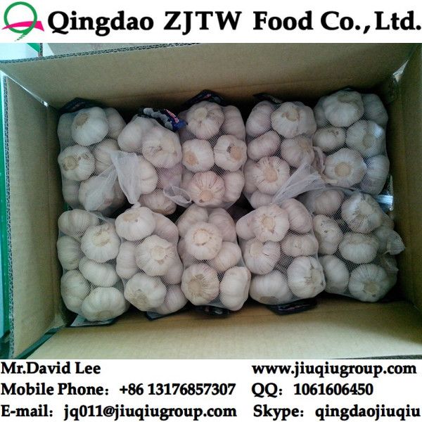 Fresh Garlic Supplier ; China Garlic Factory