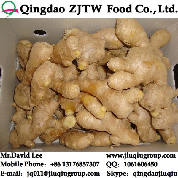Dry Ginger Price From China