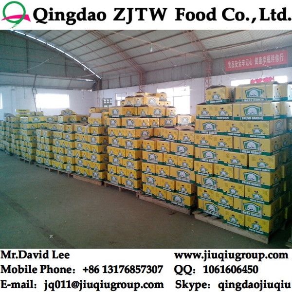 Fresh Garlic Supplier ; China Garlic Factory