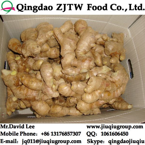 Dry Ginger Price From China