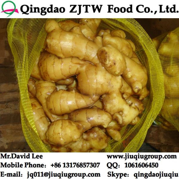 China Fresh Ginger Price