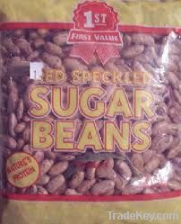 Sugar Beans | Peanut Kernel