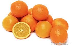 fresh Navel Orange, Valencia
