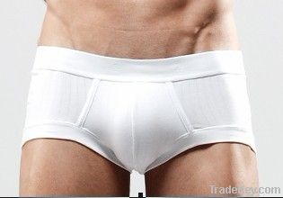 Man's Briefs